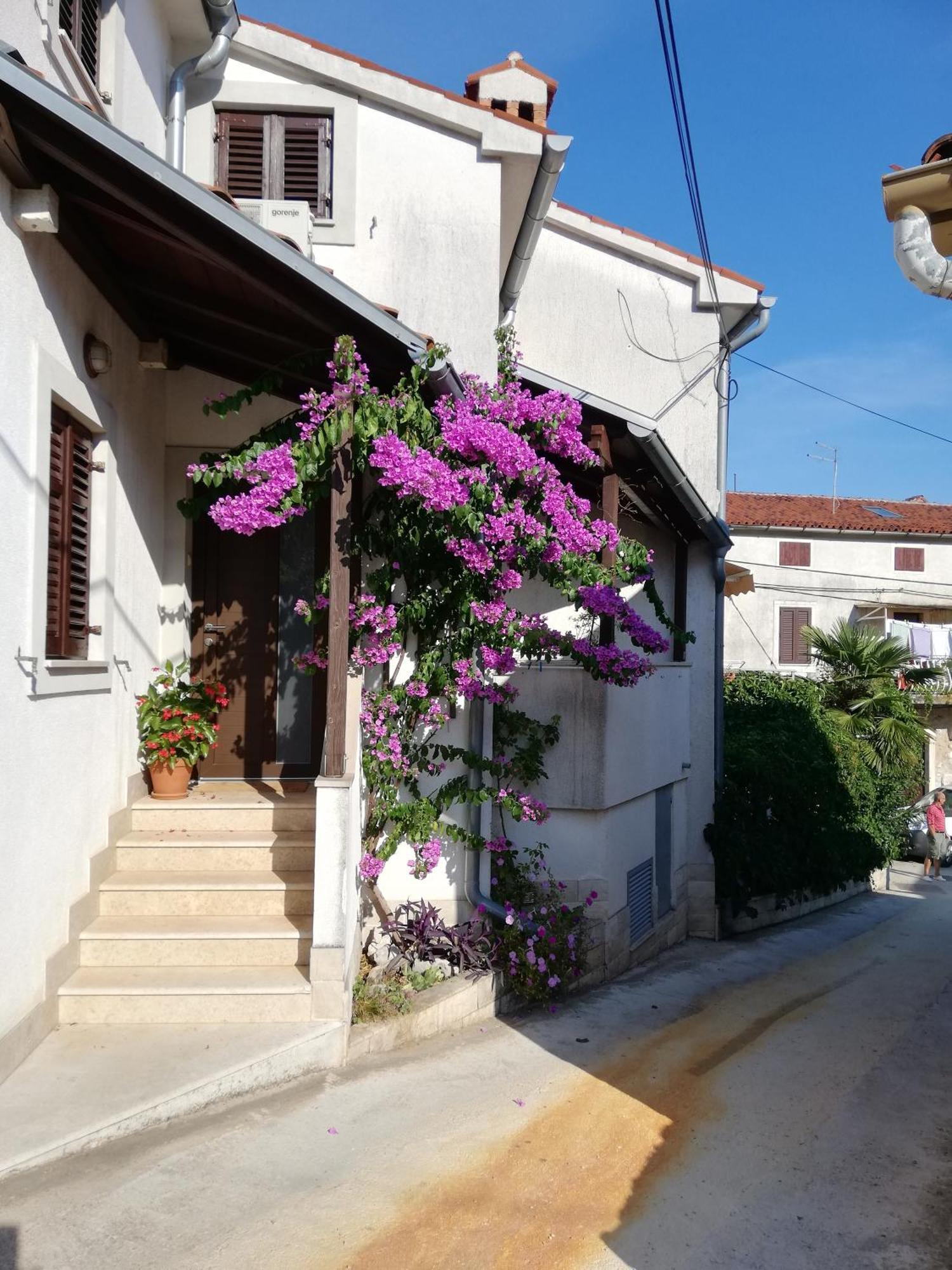Apartments Renata - Brsec Exterior photo